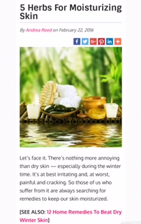 5 Herbs For Moisturizing&nbsp;Skin